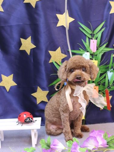 20230705くうくん